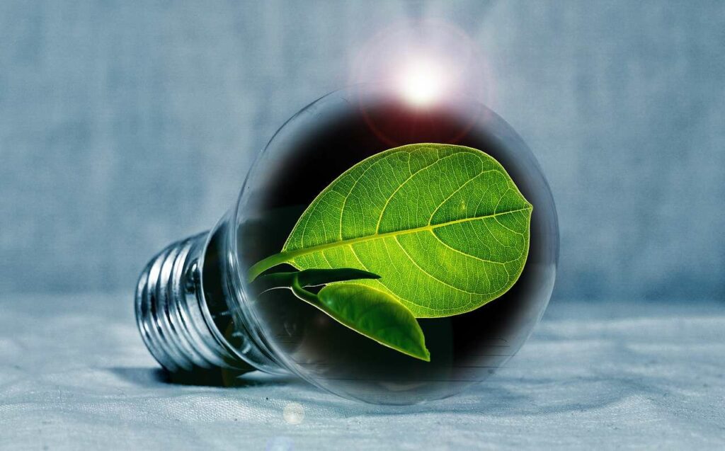 Recruter urgence transition écologique